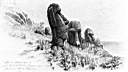 TN_loti1.jpg (2741 octets)