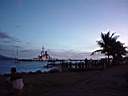 DSC03939b.jpg