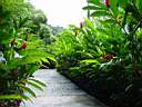 DSC03962b.jpg