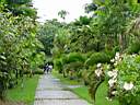 DSC03970b.jpg