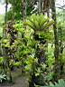 DSC03974b.jpg