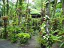 DSC03975b.jpg