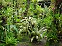 DSC03977b.jpg