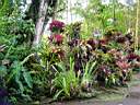 DSC03978b.jpg