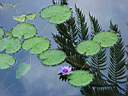 DSC03980b.jpg
