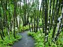 DSC03981b.jpg