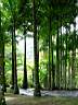 DSC03982b.jpg