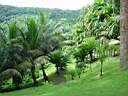 DSC03987b.jpg