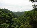 DSC03990b.jpg
