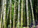 DSC03991b.jpg