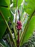 DSC03994b.jpg