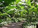 DSC03996b.jpg