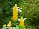 DSC03998b.jpg
