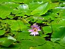 DSC03999b.jpg
