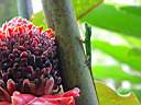 DSC04001b.jpg