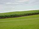 DSC04020b.jpg