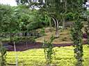 DSC04054b.jpg