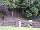 DSC04056b.jpg